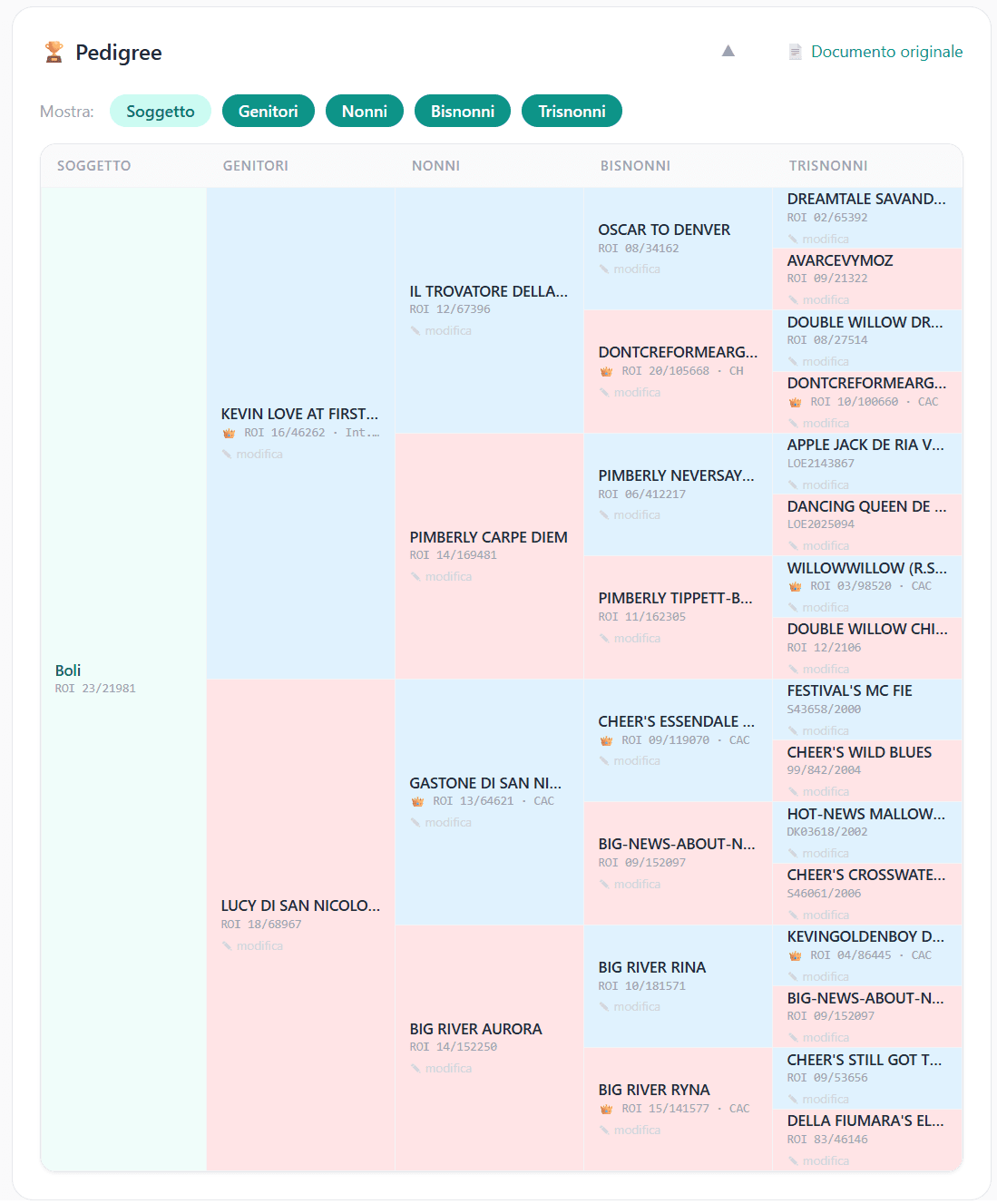 Albero genealogico completo di un cane visualizzato su patME